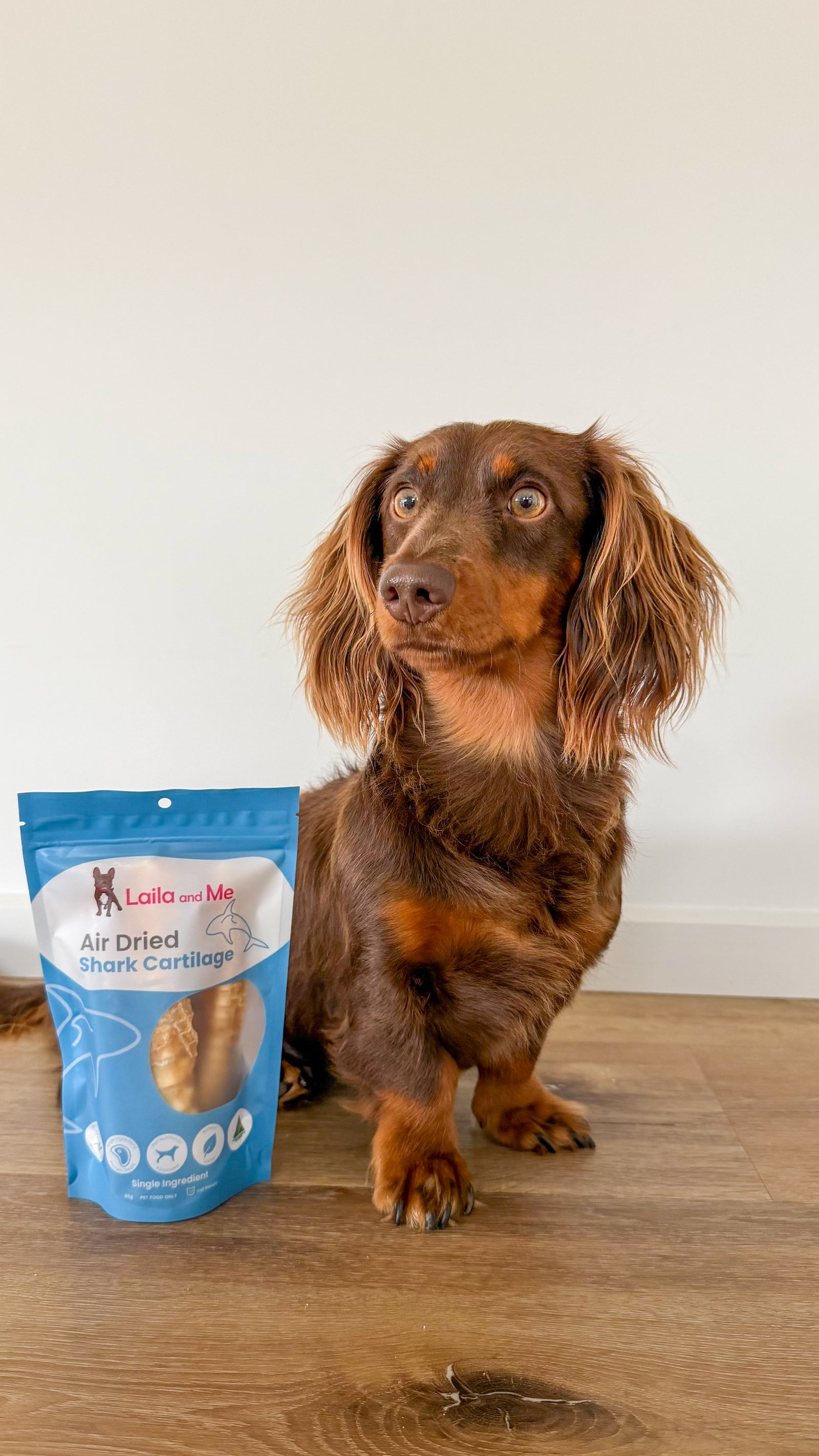 Australian Gummy Shark Cartilage