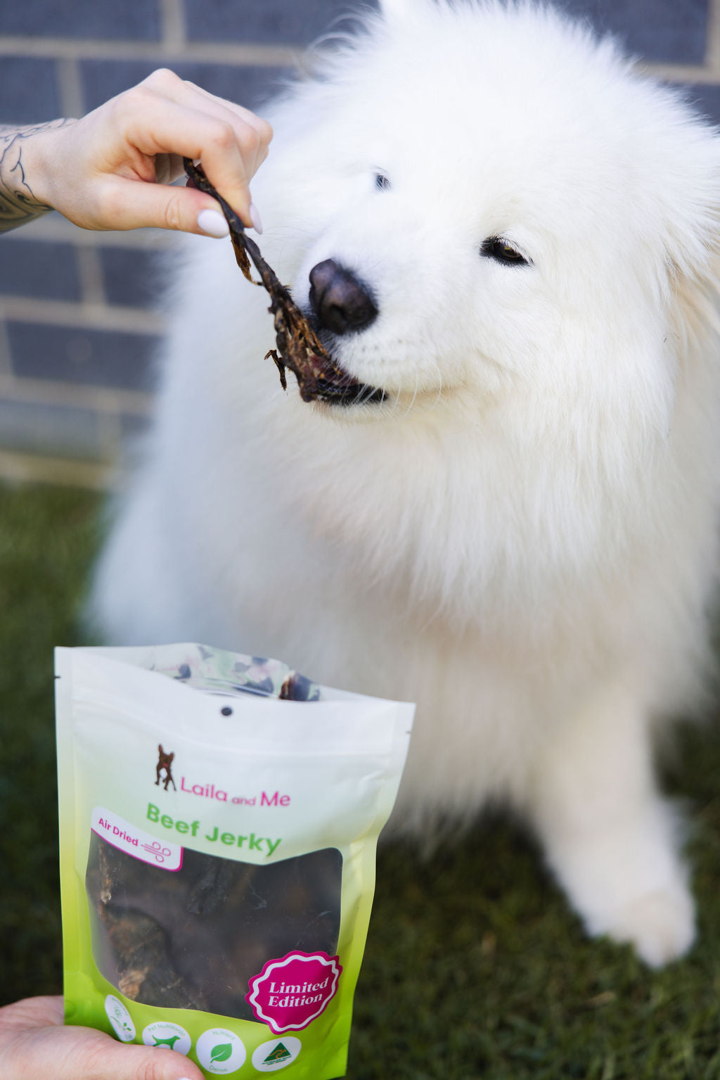 Beef Jerky