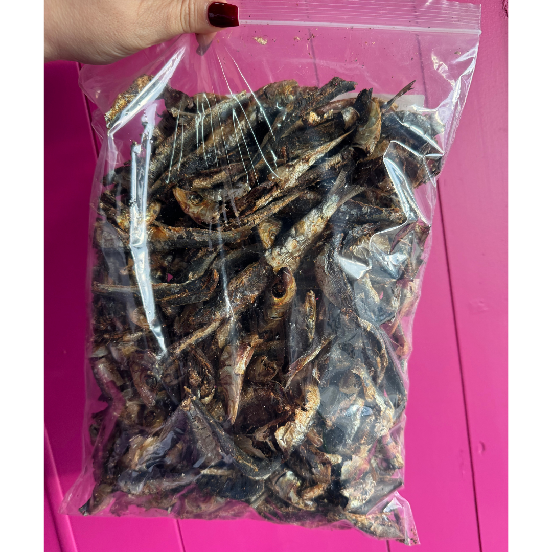Bulk Pilchards (1KG) - SECONDS/B GRADE
