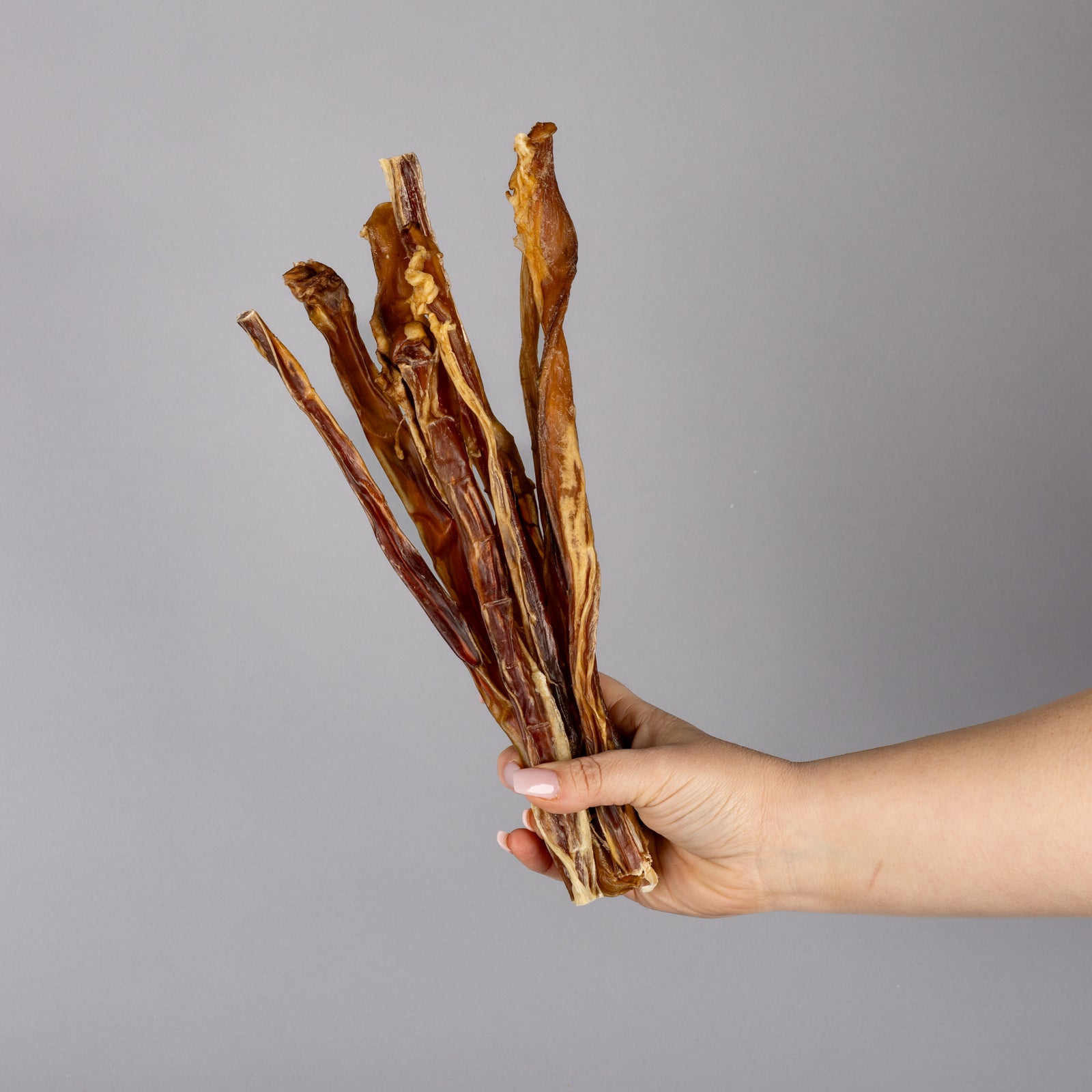 Bully Sticks