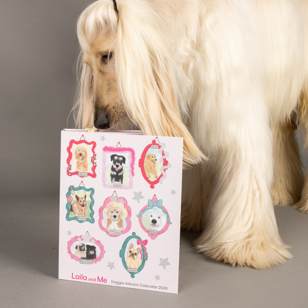 2026 Dog Advent Calendar