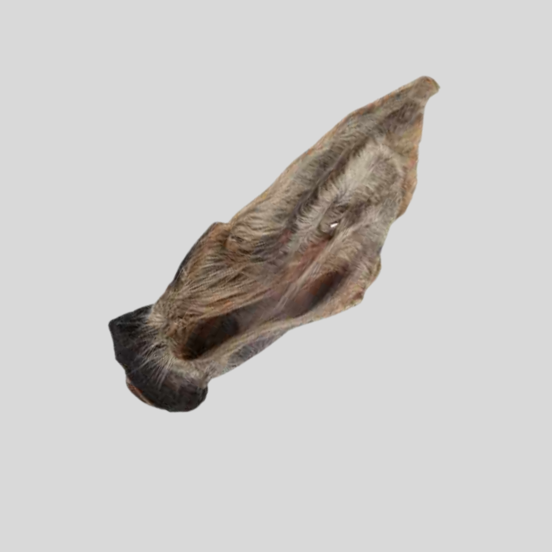 Cow Ears with Fur (2 Pack)