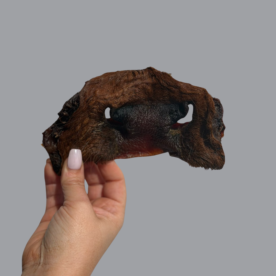 Cow Face