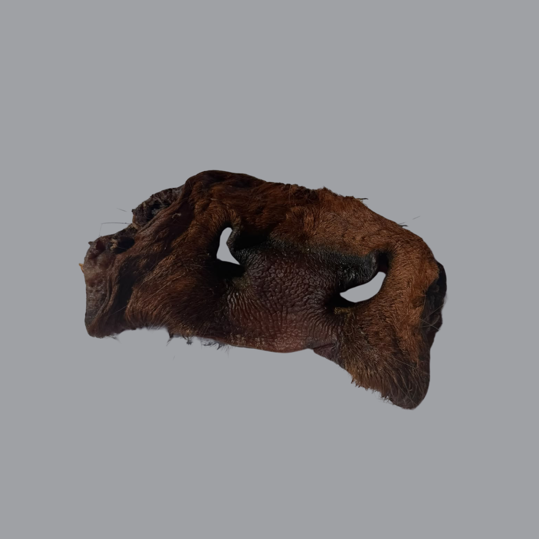 Cow Face