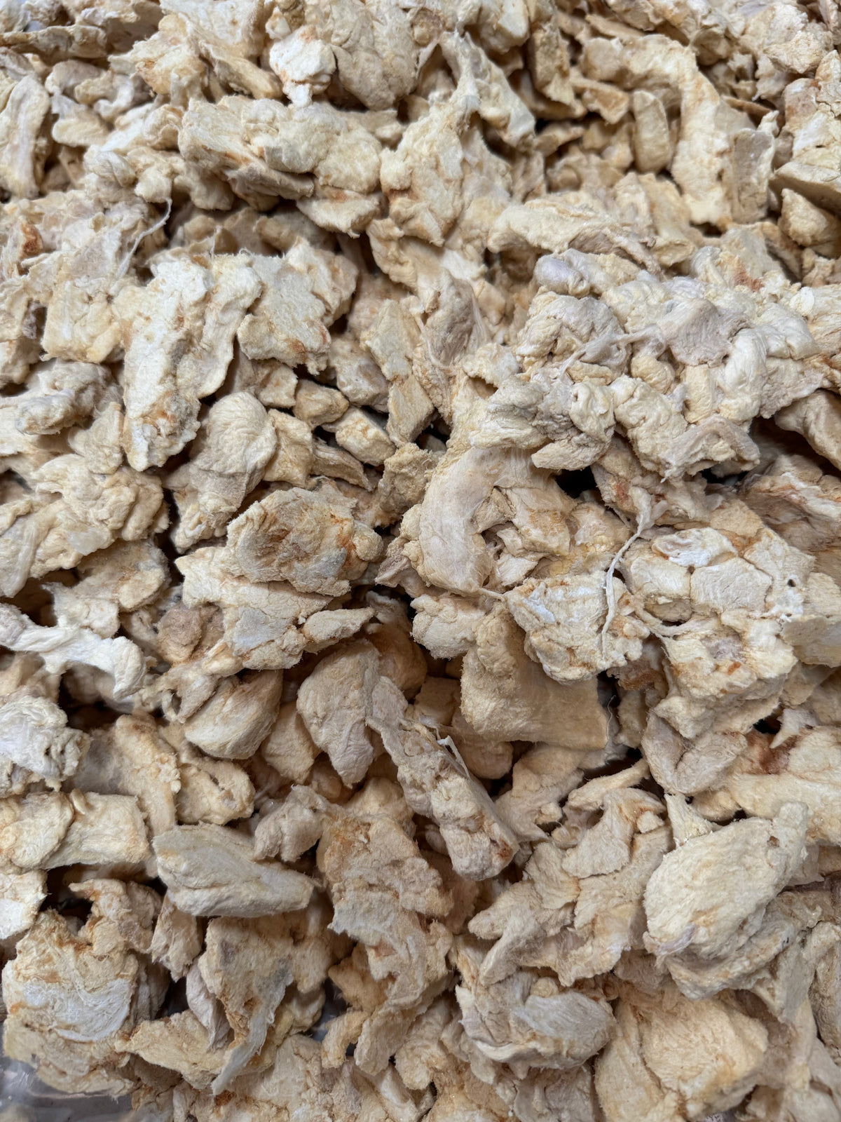 Freeze-Dried Crocodile