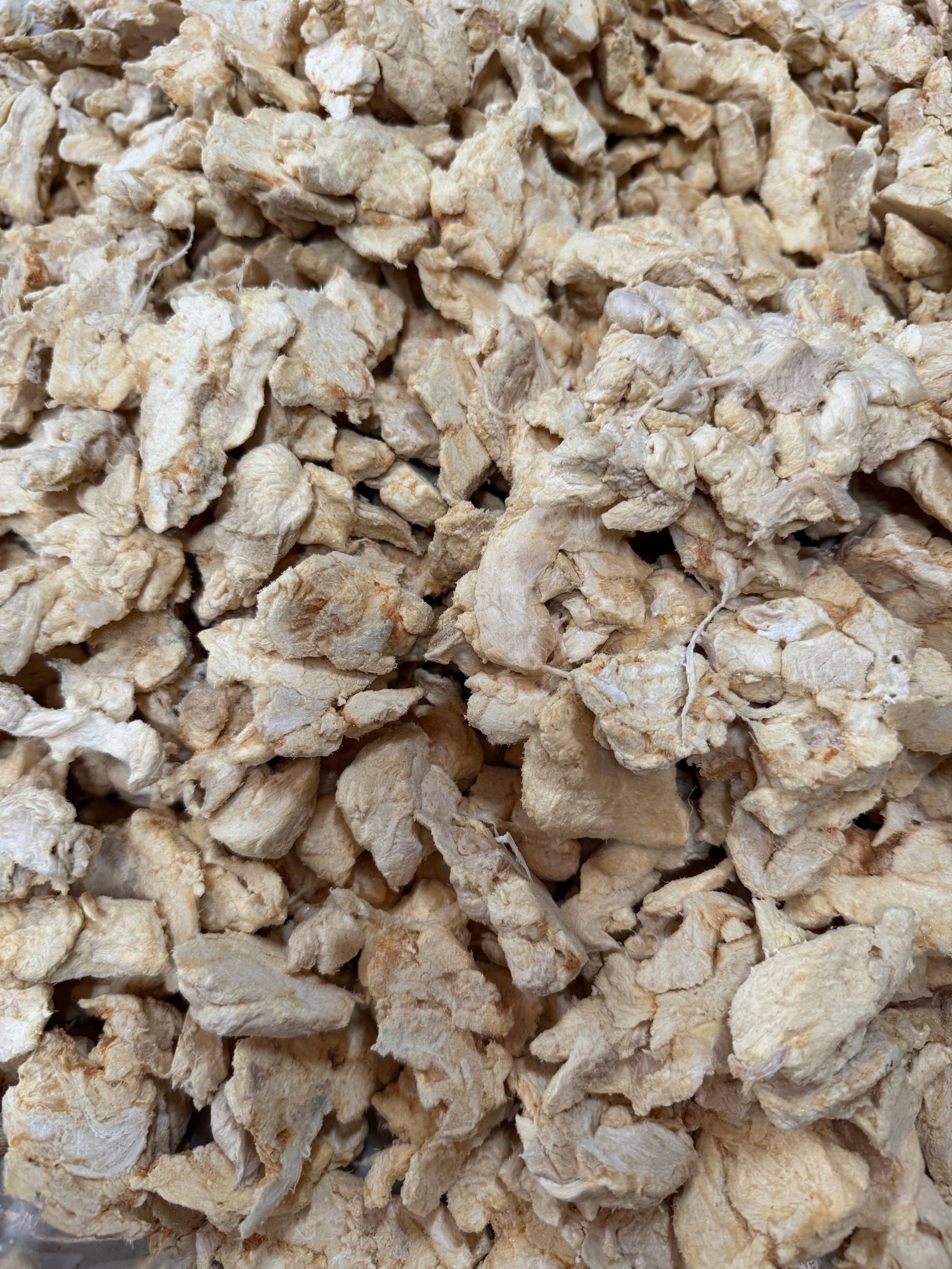 Freeze-Dried Crocodile