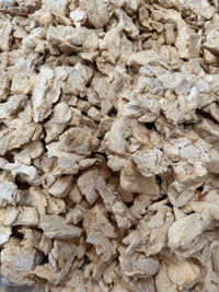 Freeze-Dried Crocodile