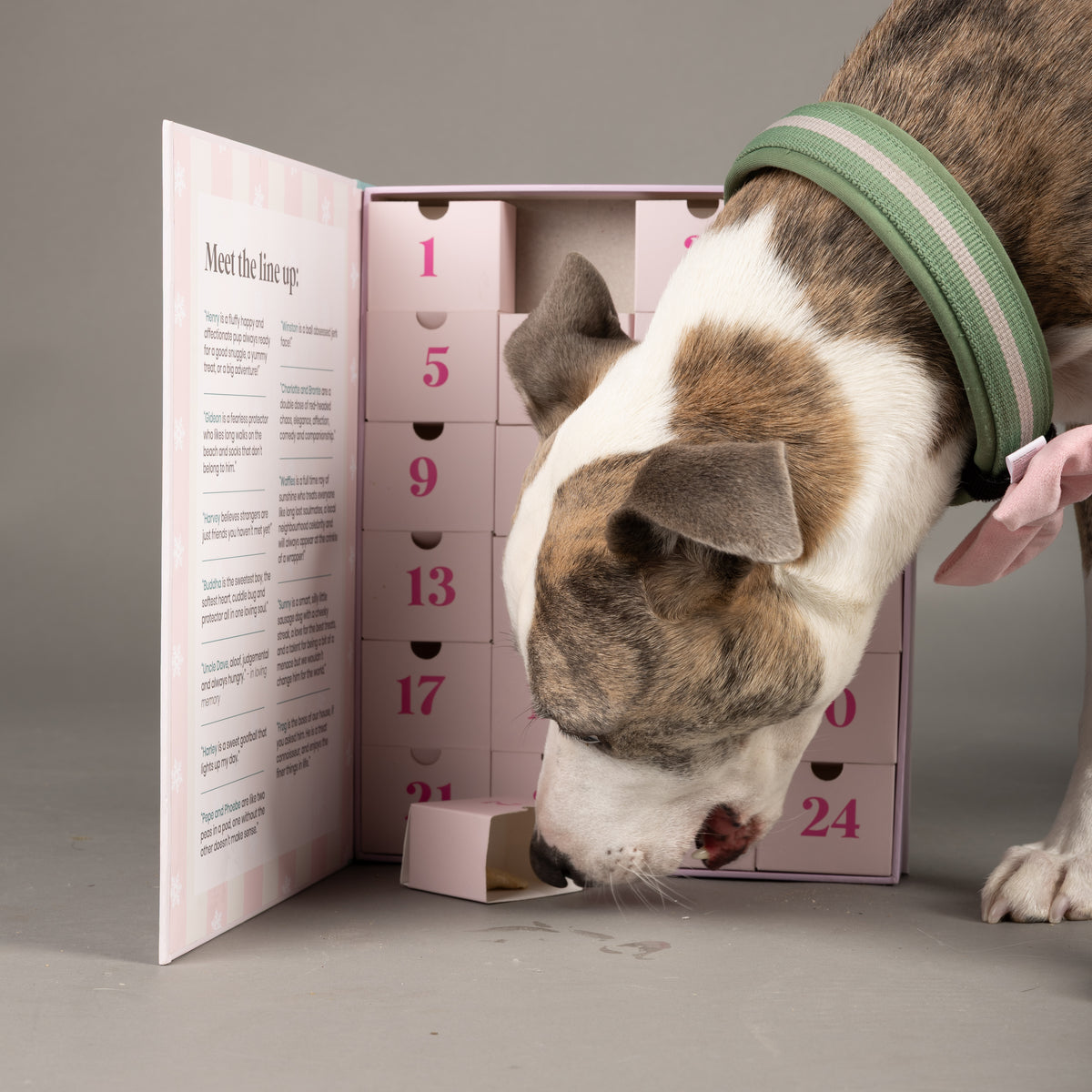 2026 Dog Advent Calendar