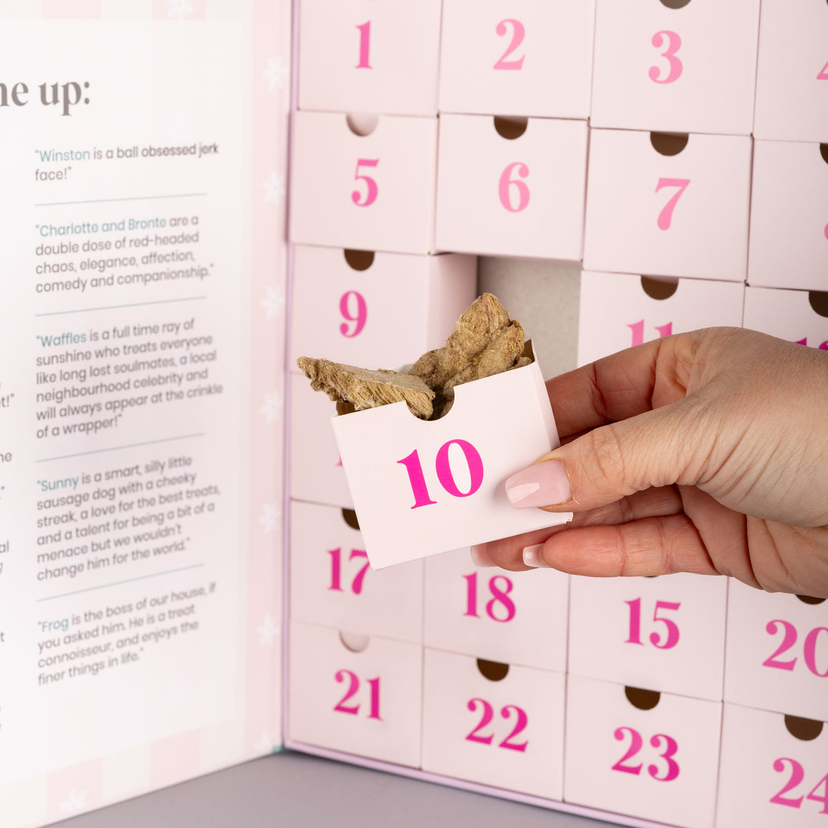 2026 Dog Advent Calendar