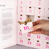 2026 Dog Advent Calendar (PRE-ORDER)