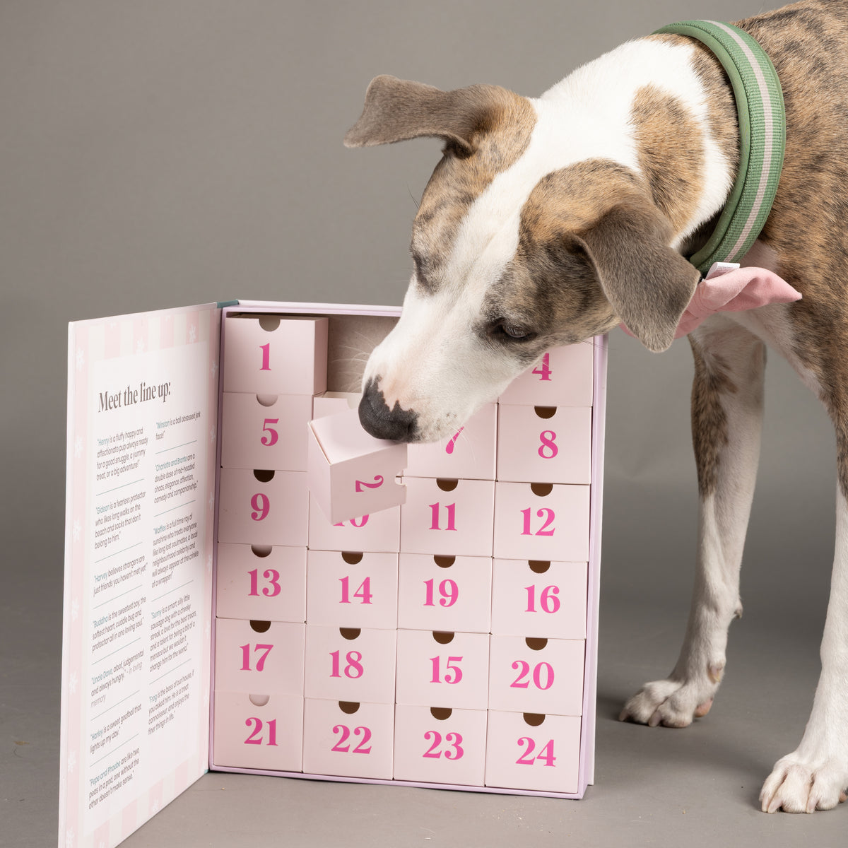 2026 Dog Advent Calendar