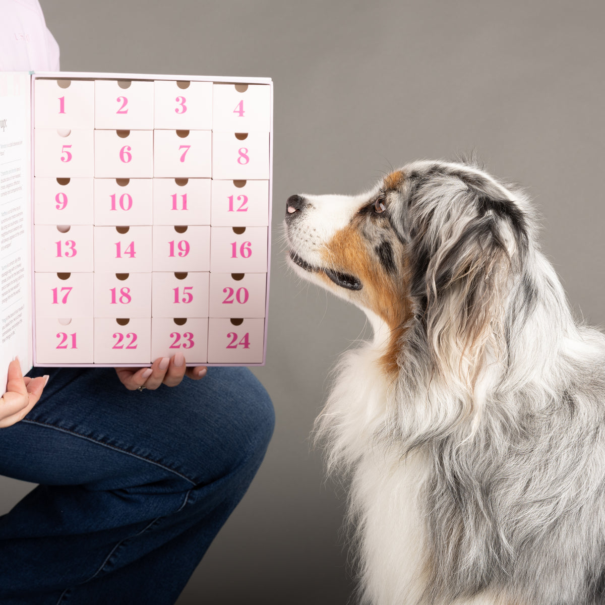2026 Dog Advent Calendar