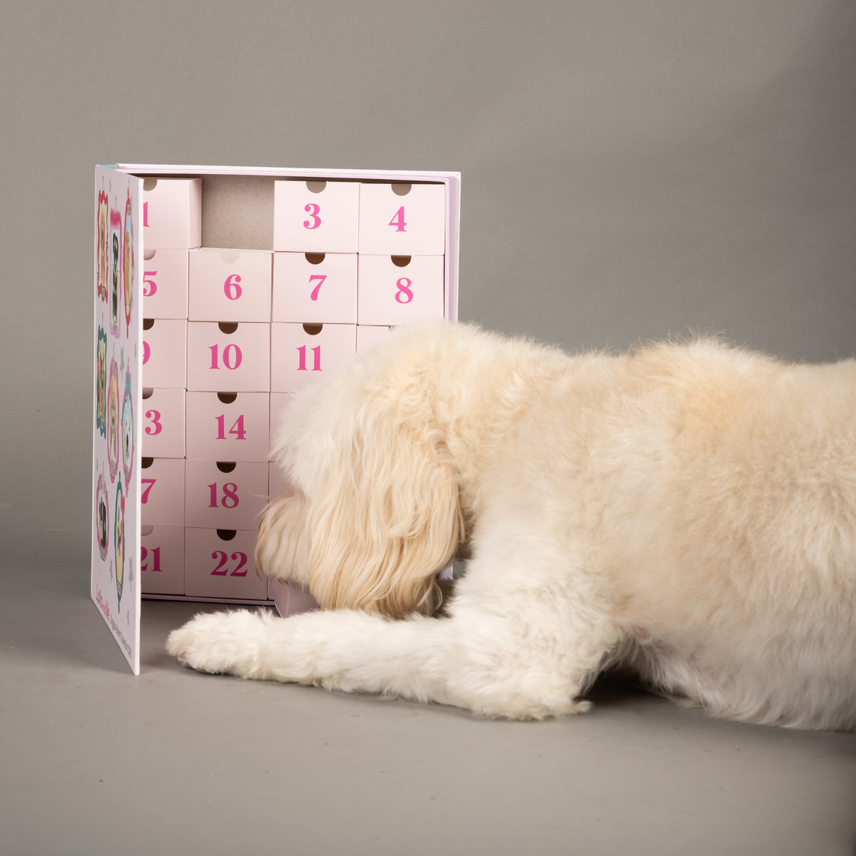 2026 Dog Advent Calendar