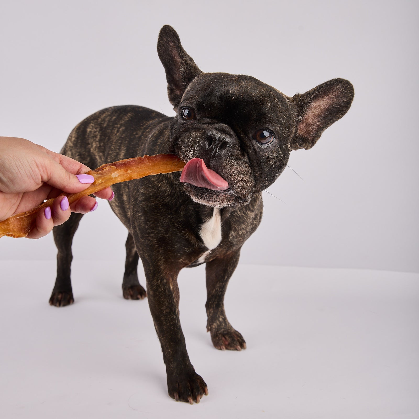 novel protein dog treats made in australia 