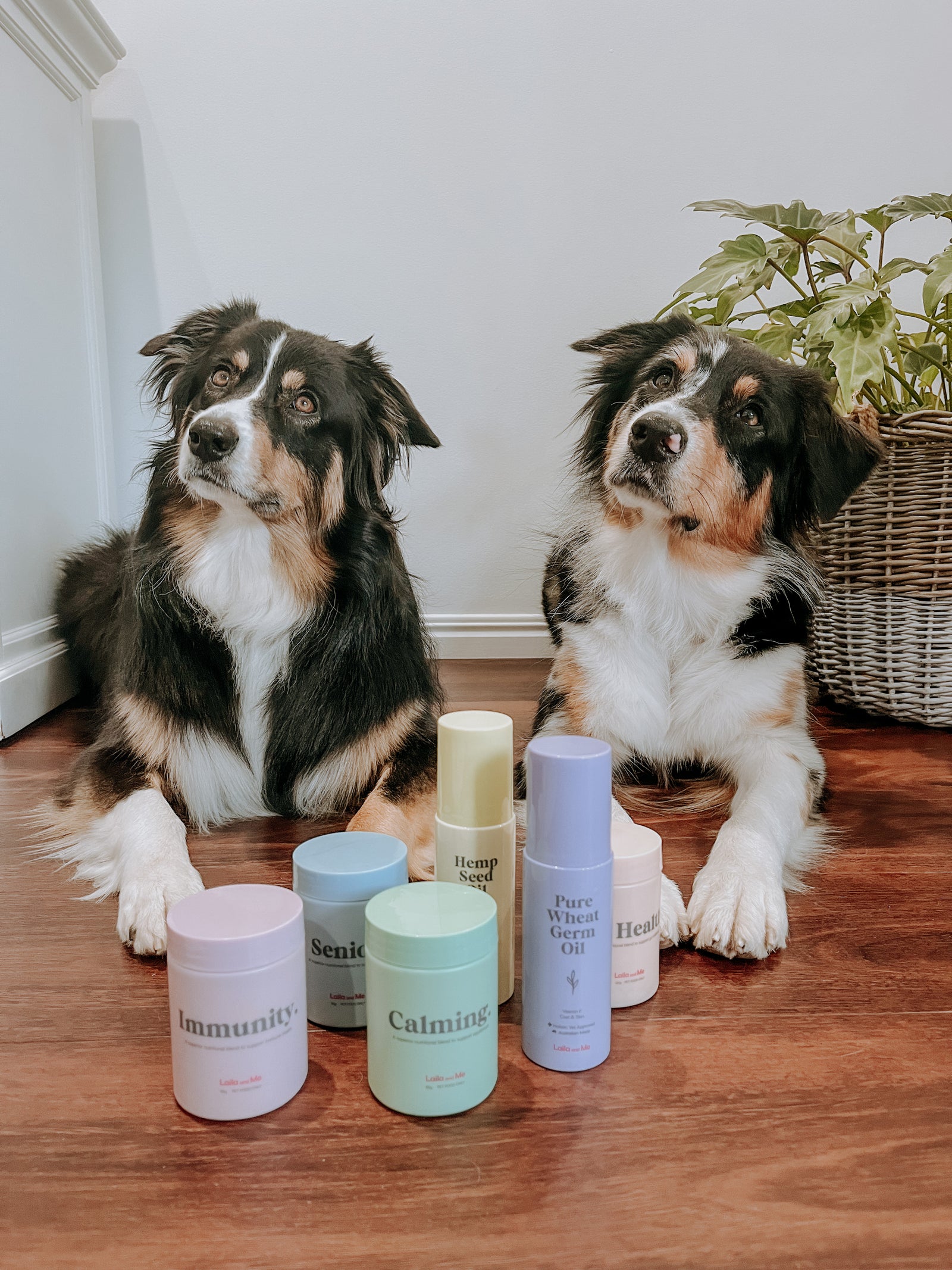 Ultimate Supplement and Oil Bundle