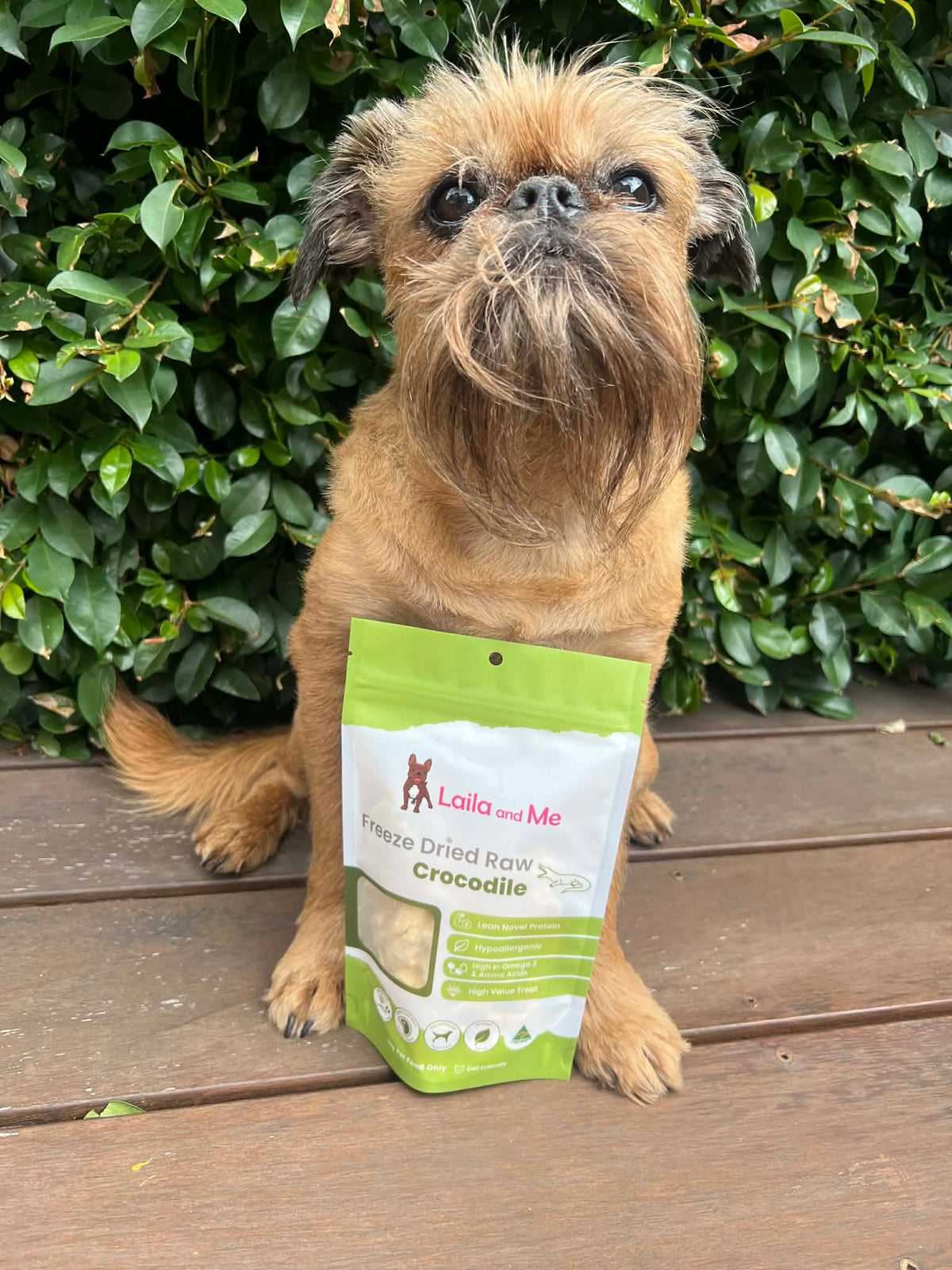 Freeze-Dried Crocodile