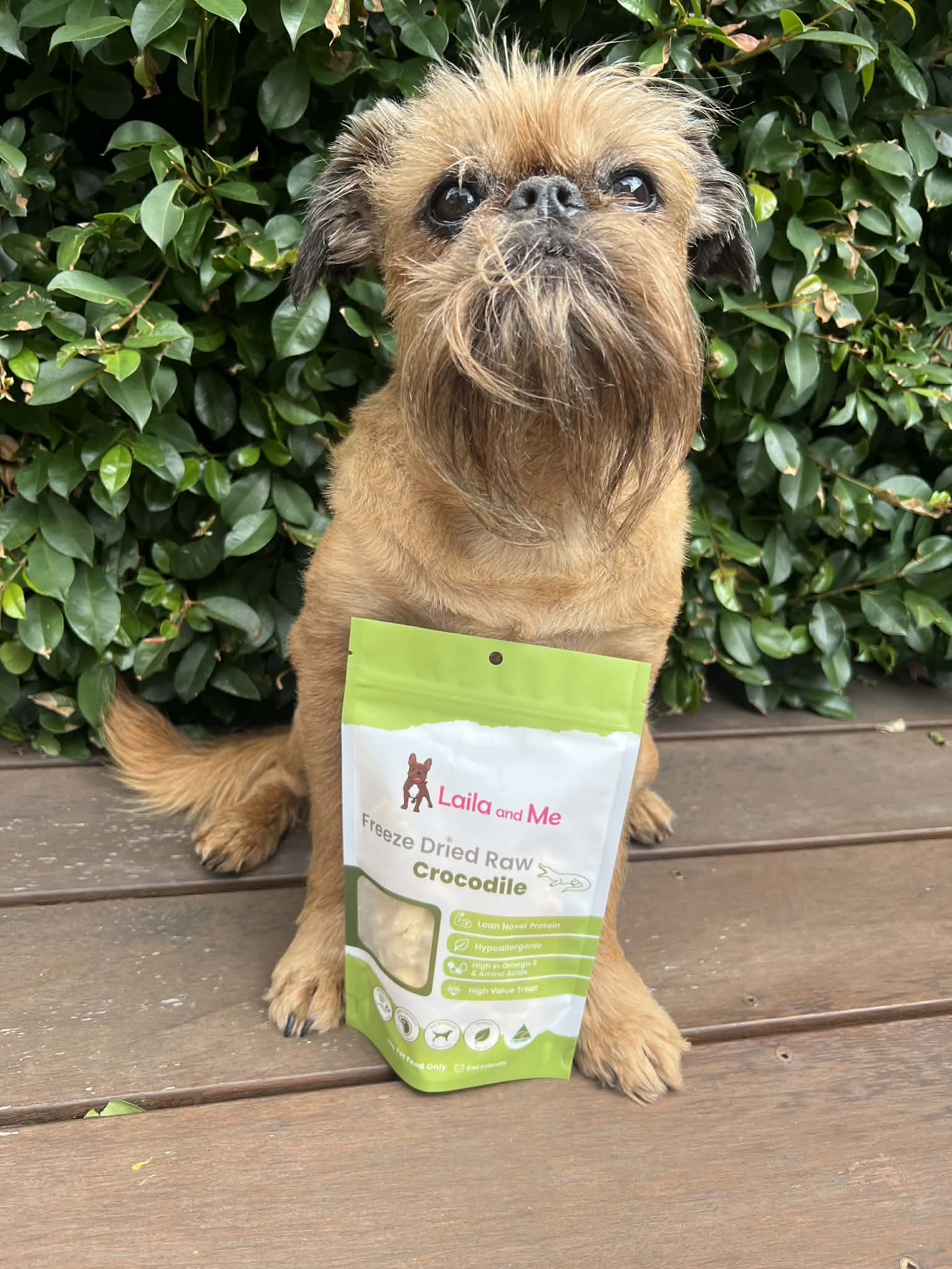 Freeze-Dried Crocodile