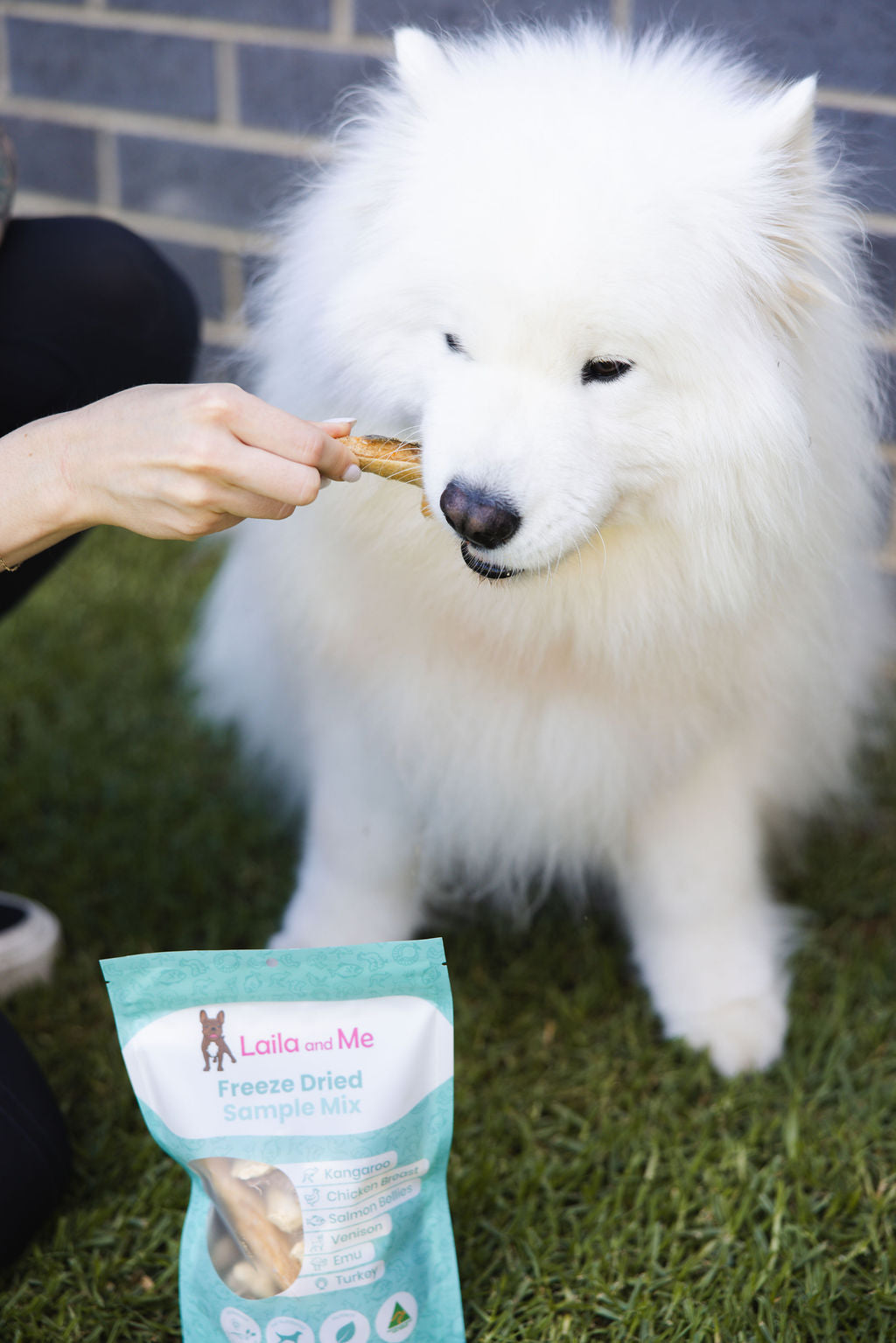 Freeze Dried Sample Mix (Large)