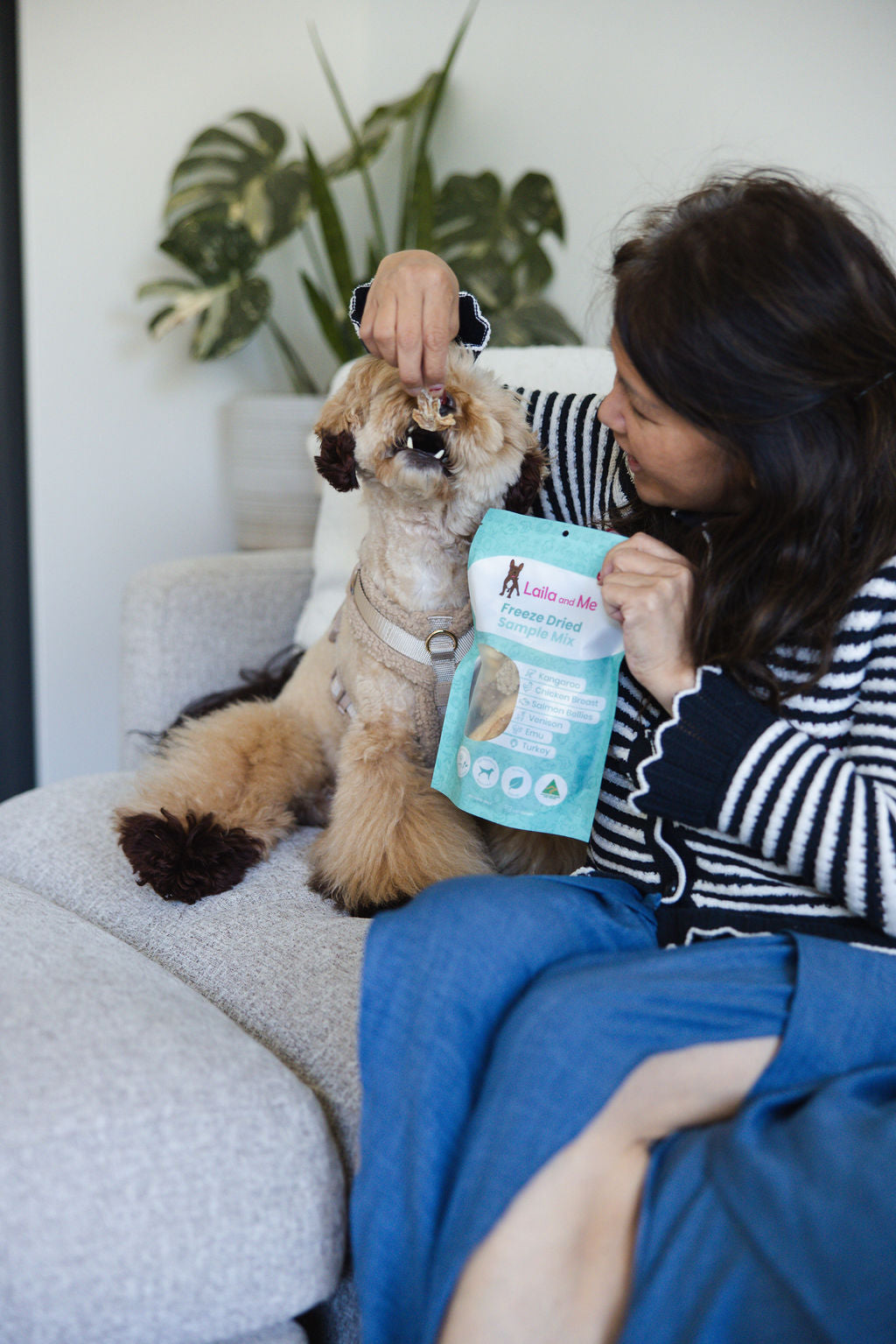 Freeze Dried Sample Mix (Large)