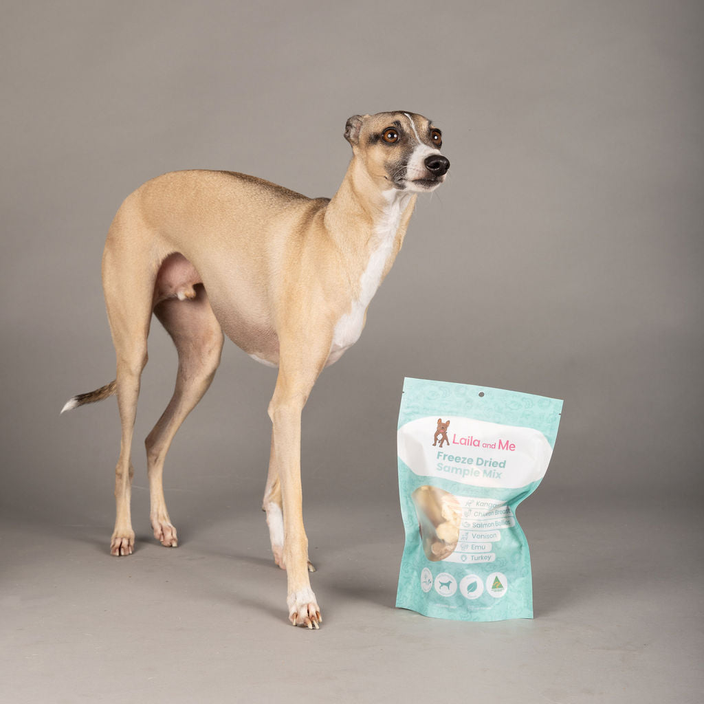 Freeze Dried Sample Mix (Large)