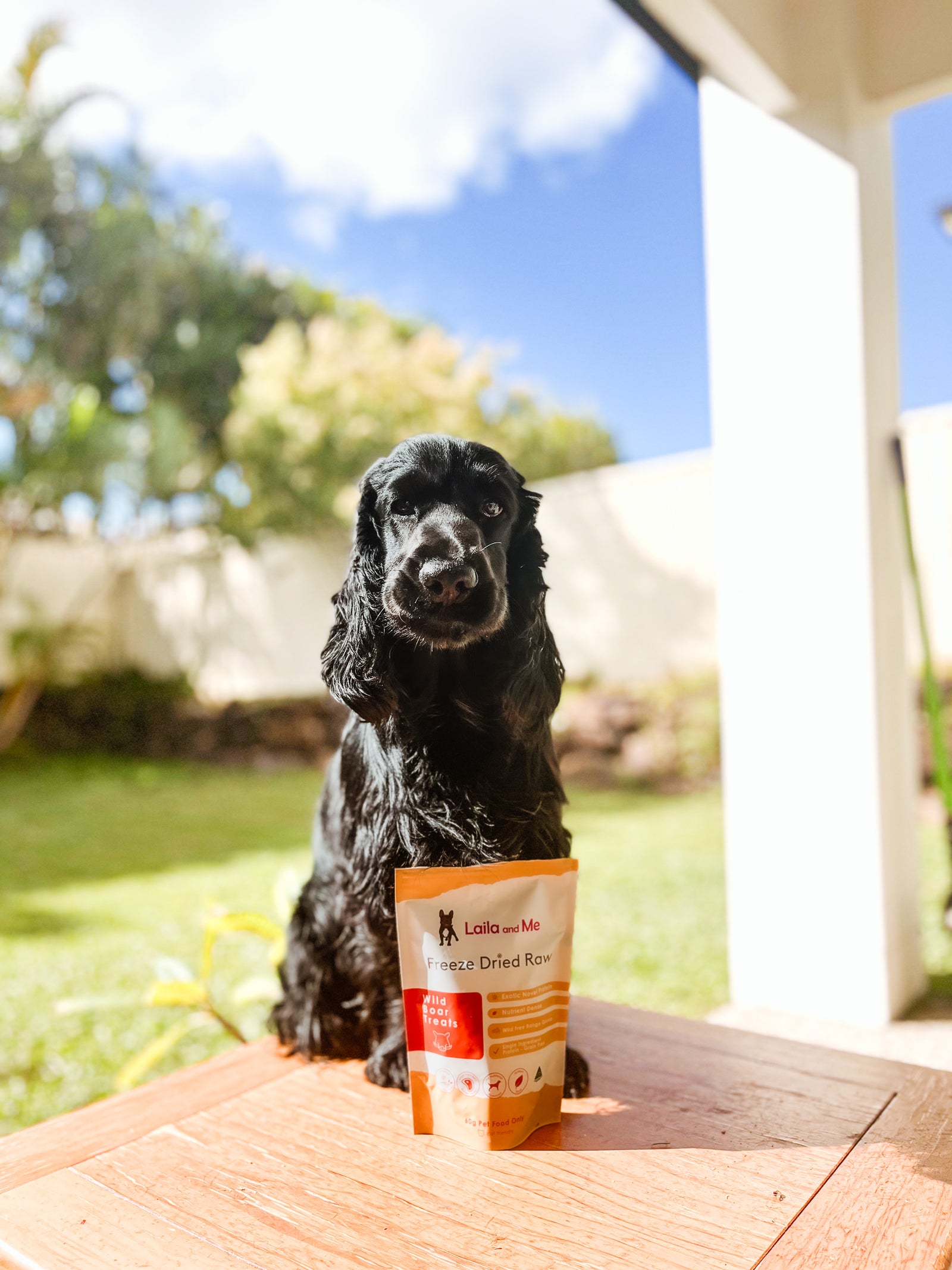 Freeze Dried Raw Wild Boar Treats