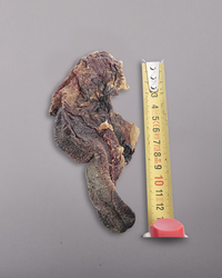 Australian Goat Tongue
