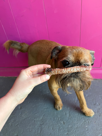 Goat Trachea
