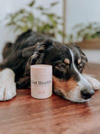 Supplement Bundle For Dogs Under 7