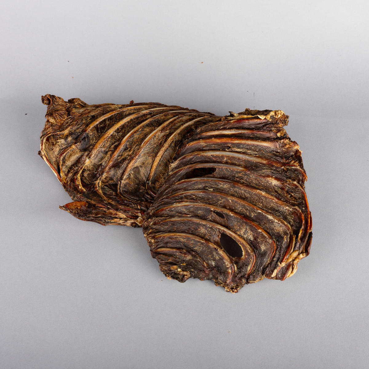 Kangaroo Ribs - Limited Edition