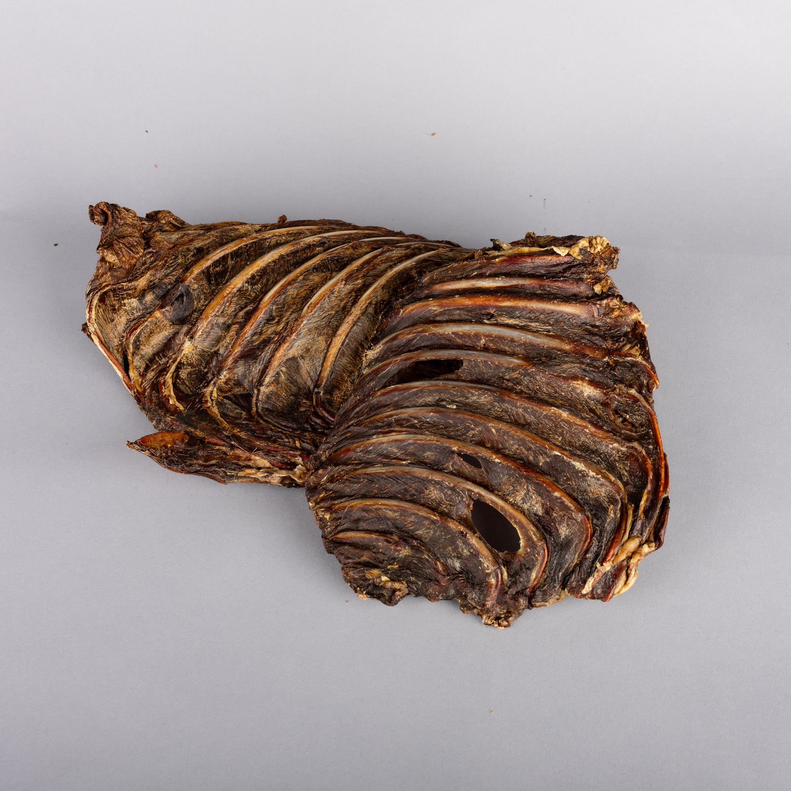 Kangaroo Ribs - Limited Edition
