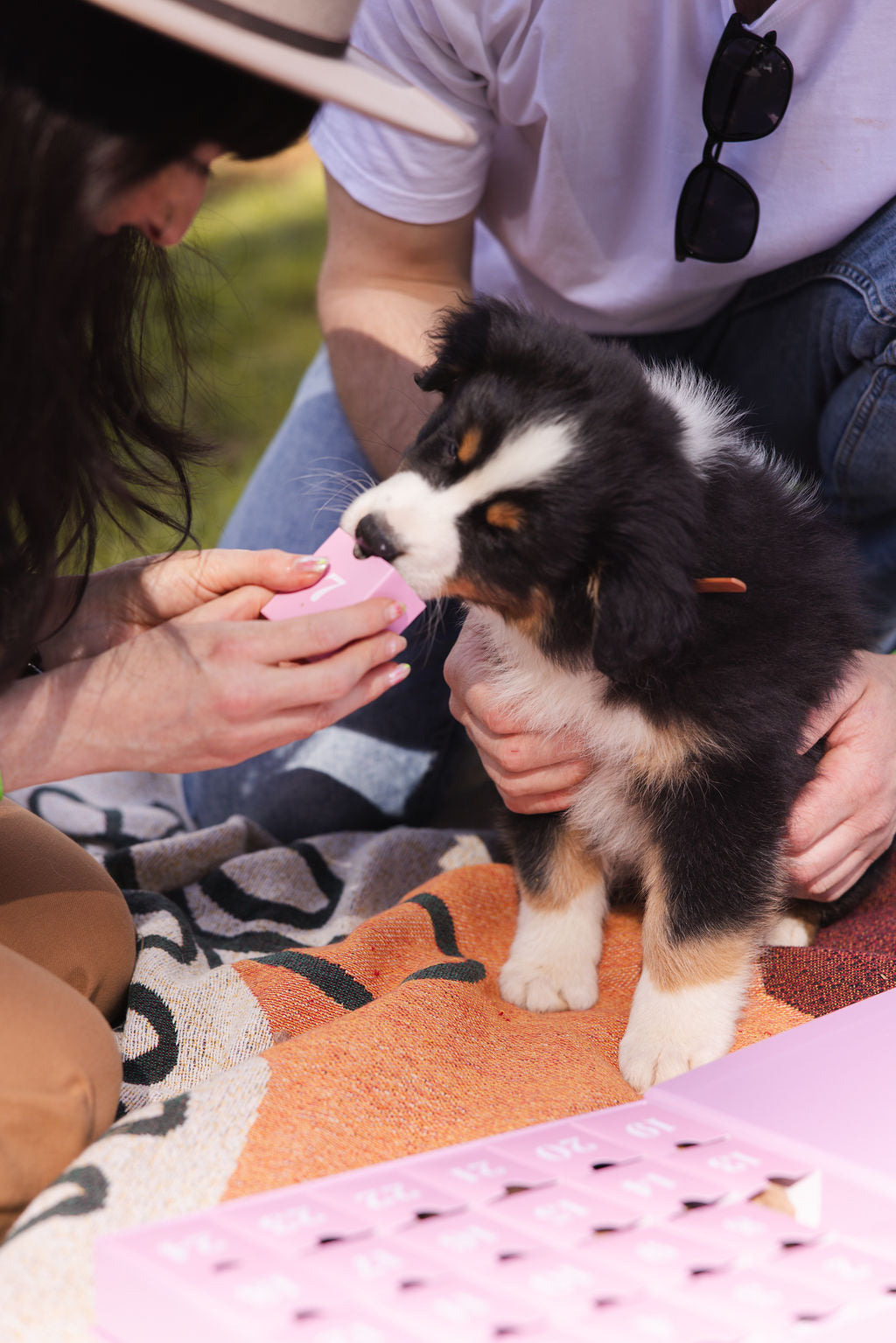 2025 Dog Advent Calendar