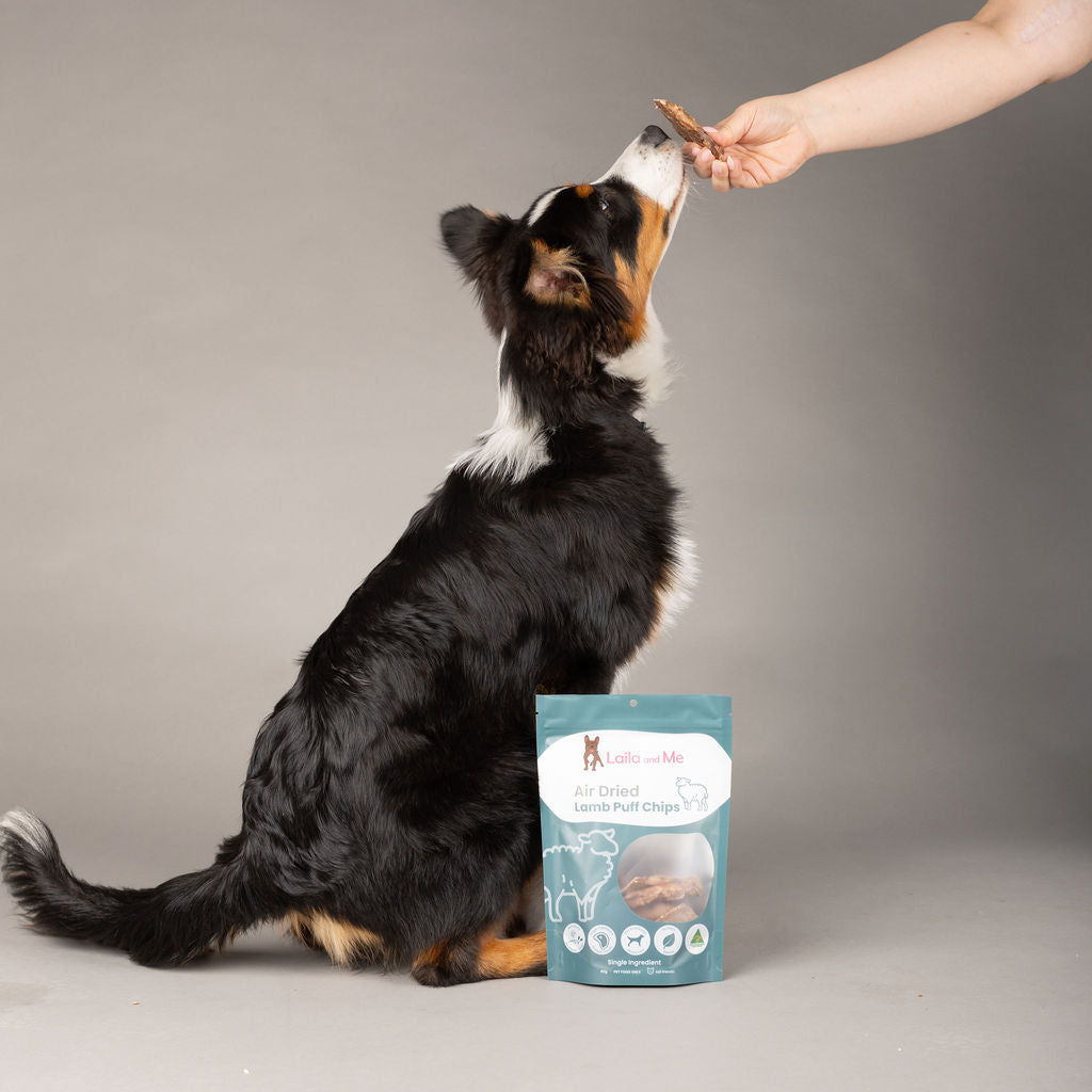 Lamb Puff Chips