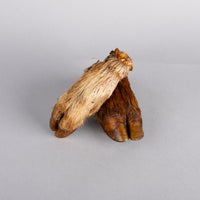 Pork Trotters with Fur 2 Pack