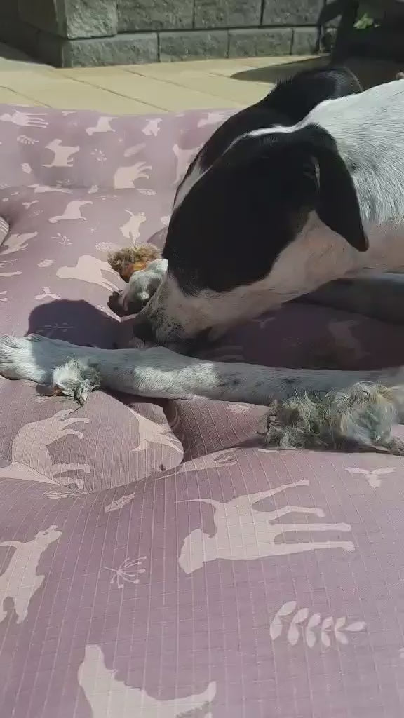 Laila and Me Natural longer lasting dental chew for dogs 