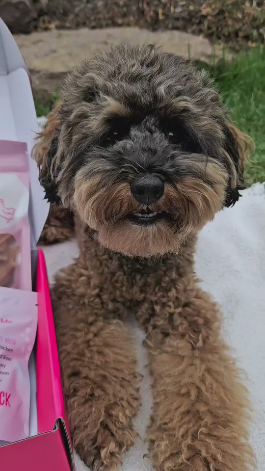 Ultimutt Dog Box | Monthly Subscription Box