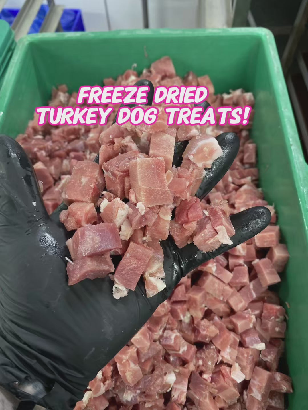 Freeze Dried Raw Turkey Treats