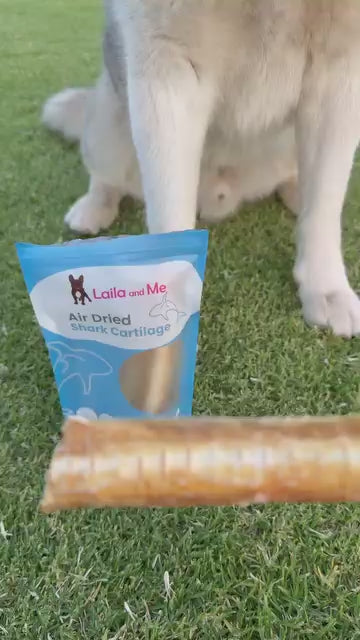 Australian Gummy Shark Cartilage