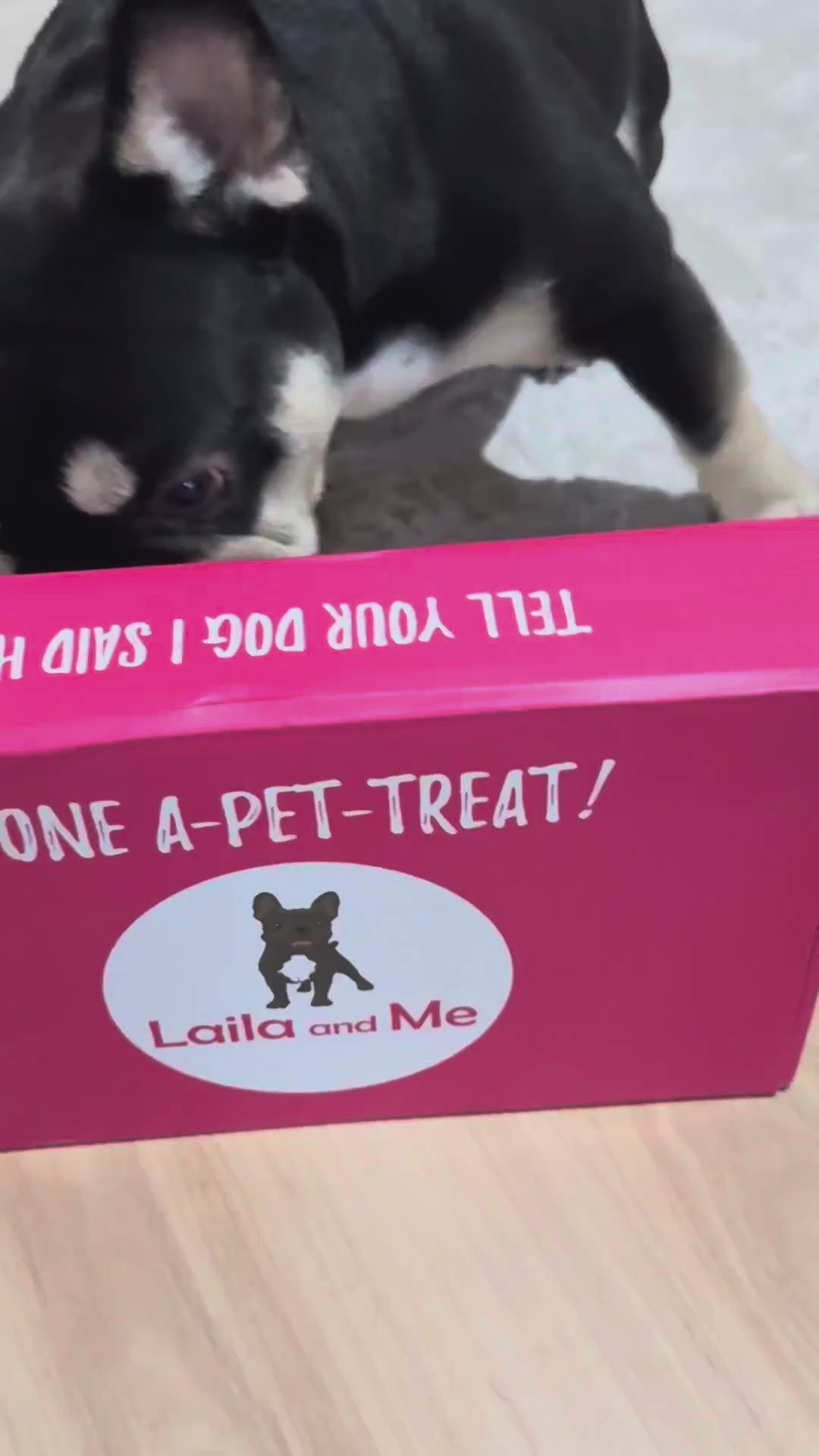Ultimutt Dog Box | Monthly Subscription Box