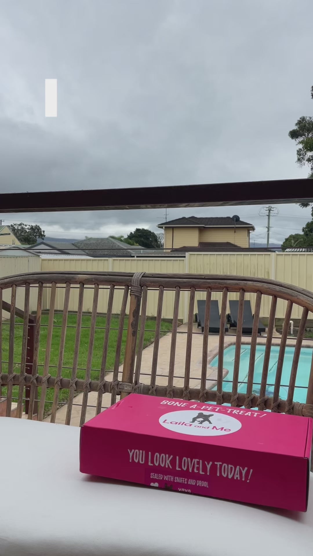 Ultimutt Dog Box | Monthly Subscription Box