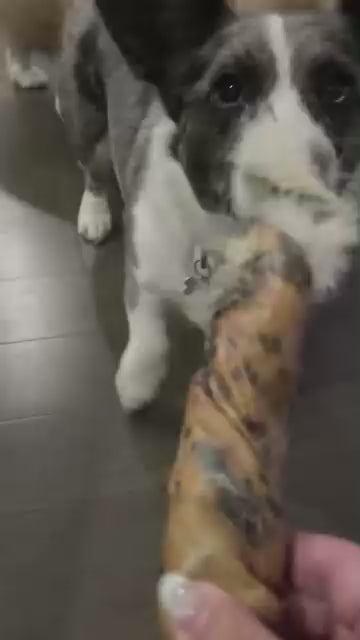 Wild Rabbit Fur Twists (2 pack)