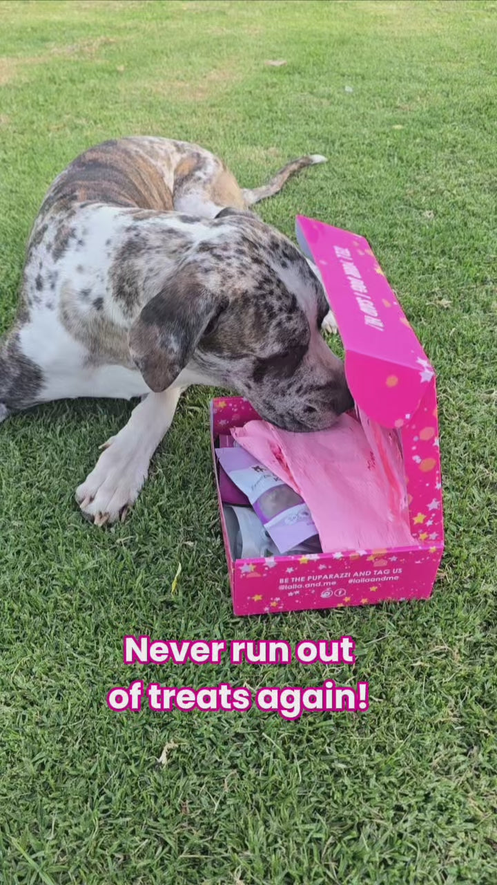 Ultimutt Dog Box | Monthly Subscription Box