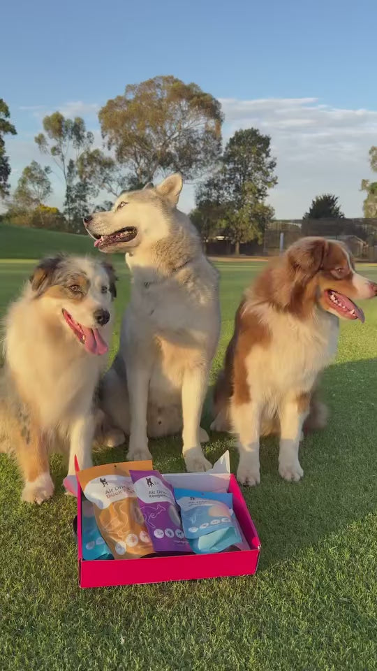 Ultimutt Dog Box | Monthly Subscription Box