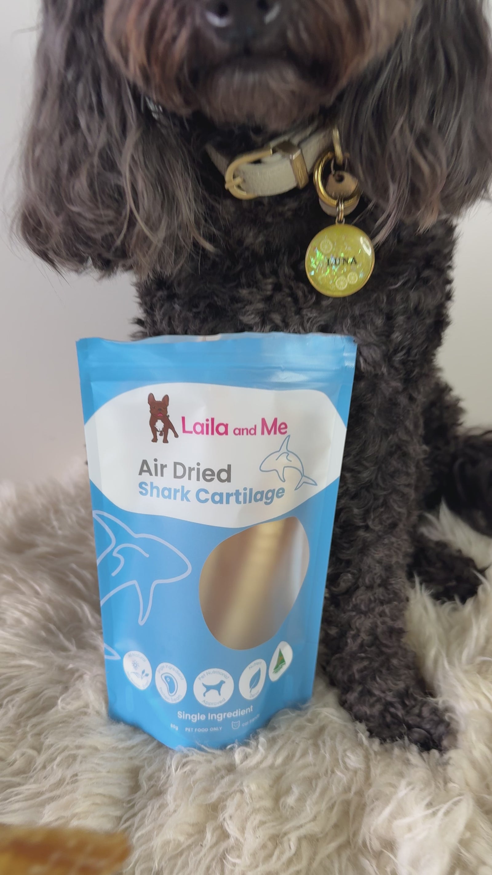 Australian Gummy Shark Cartilage