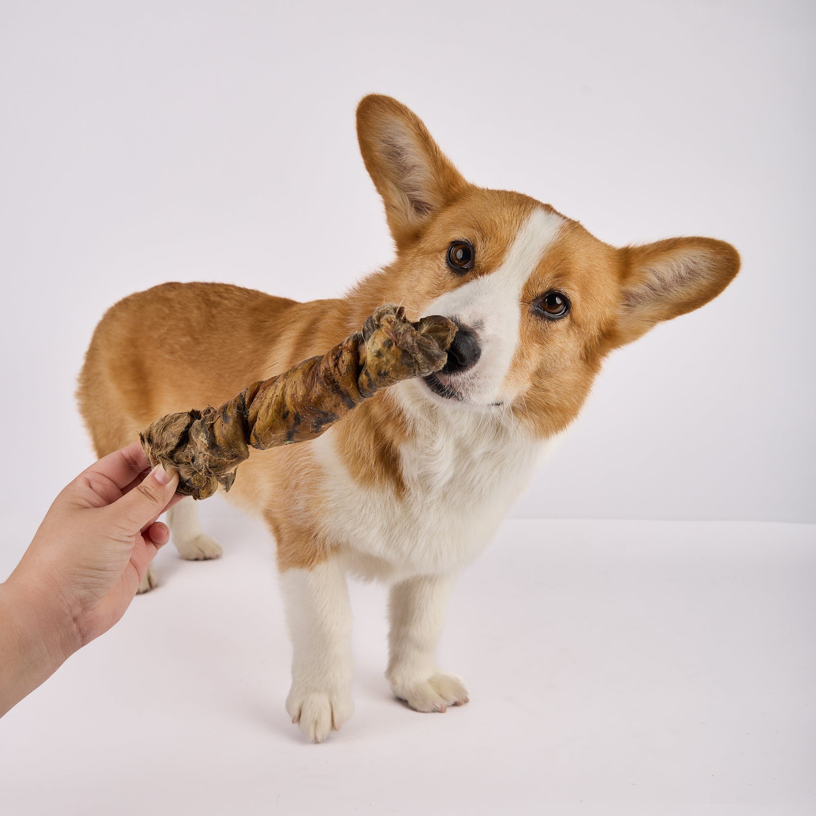 High quality rabbit natural long lasting chew treats for dogs by Laila and Me