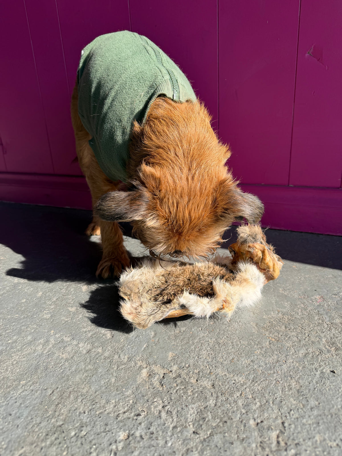Rabbit Flats