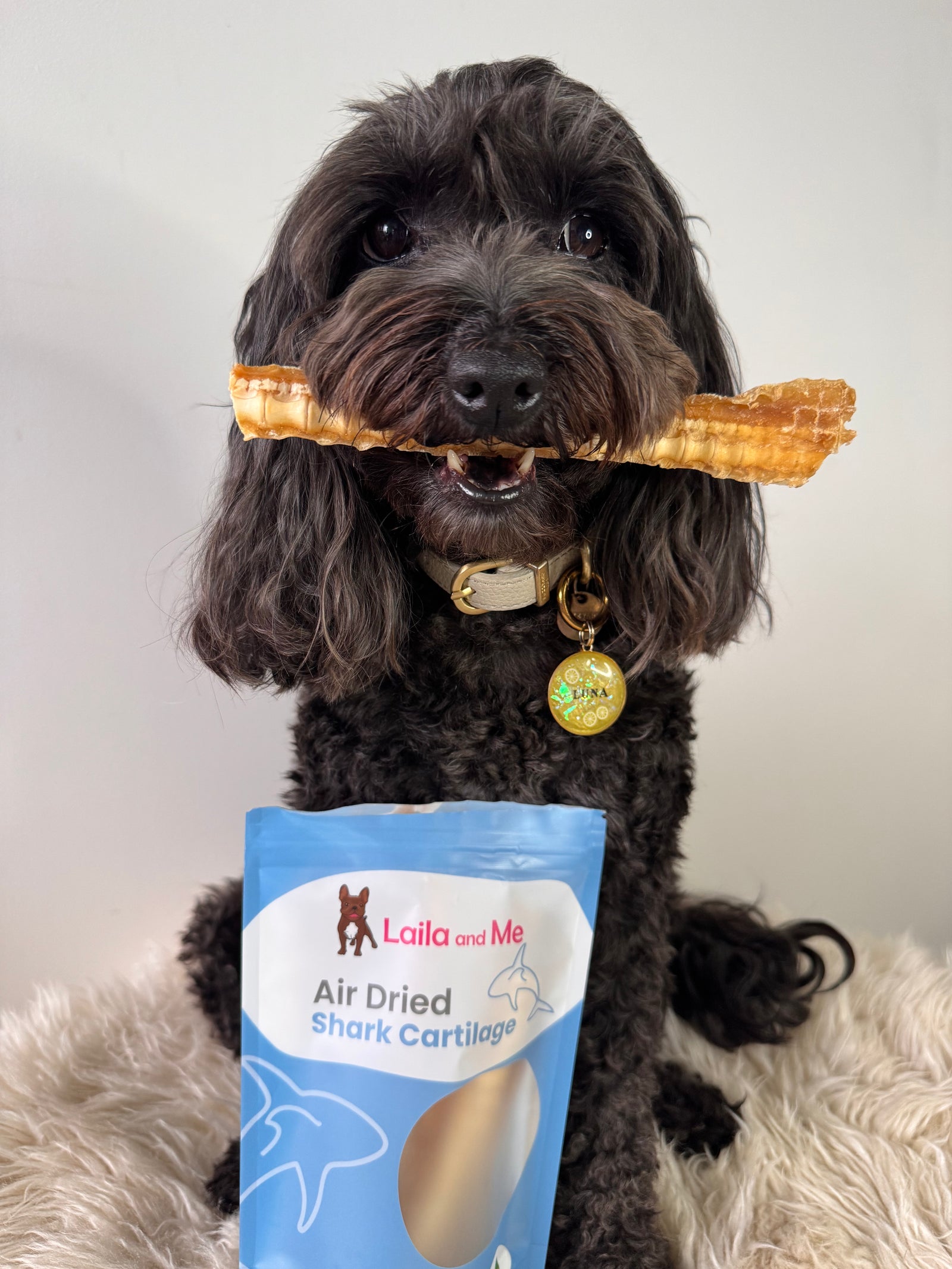 Australian Gummy Shark Cartilage