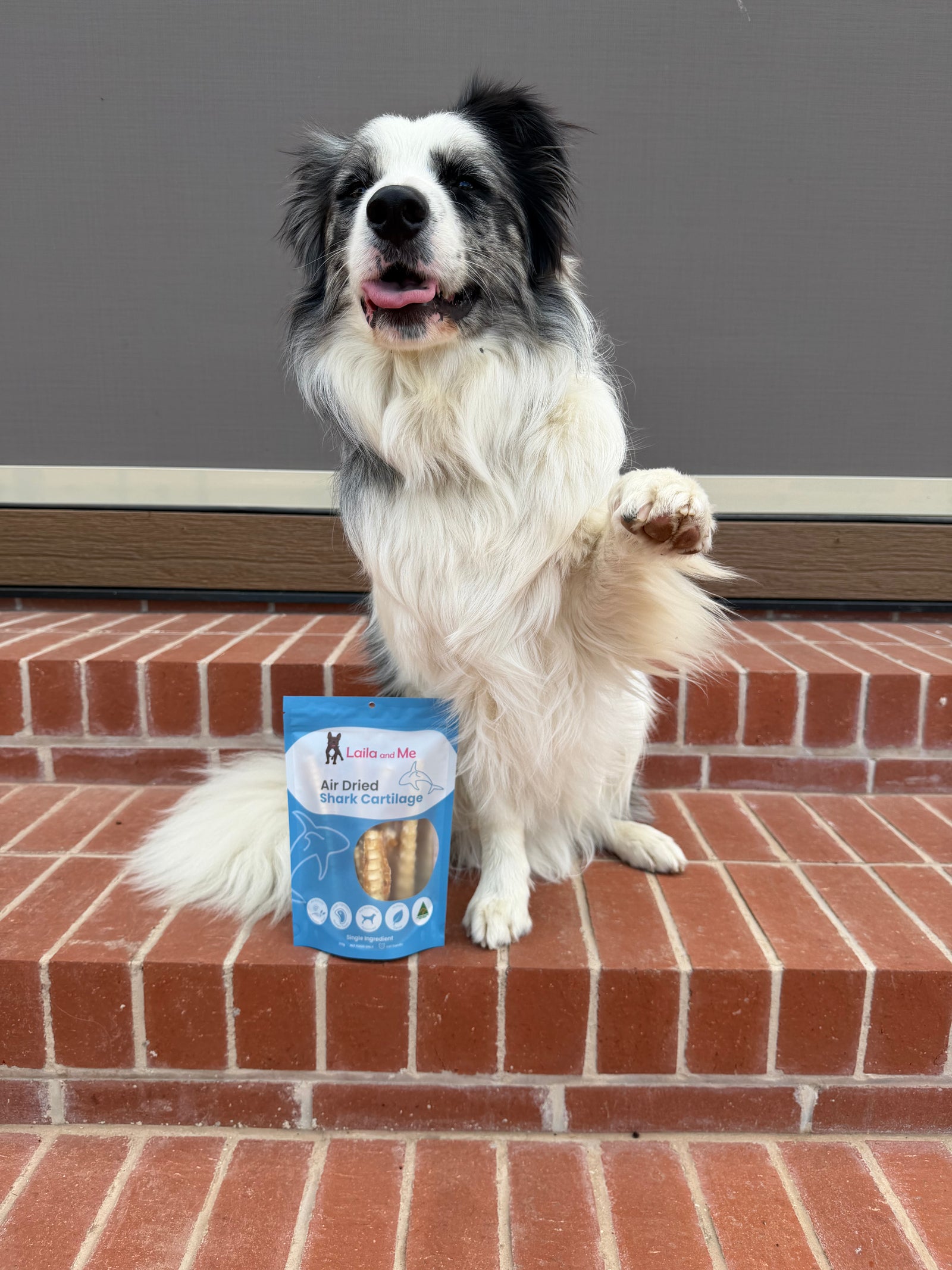 Australian Gummy Shark Cartilage