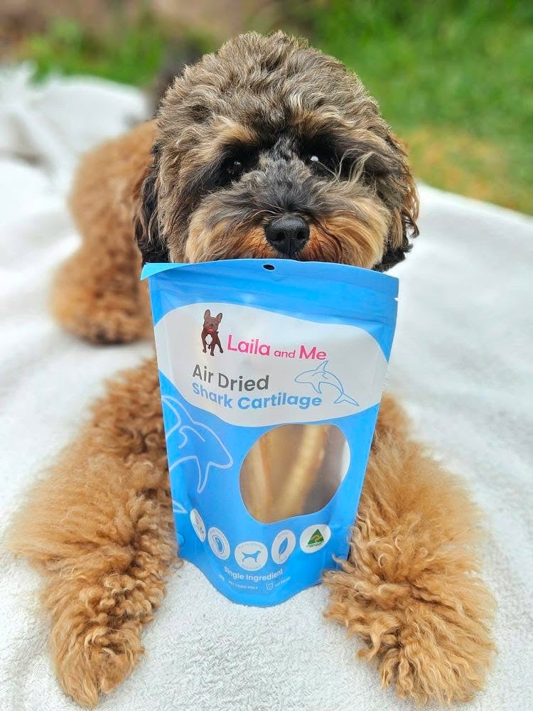 Australian Gummy Shark Cartilage