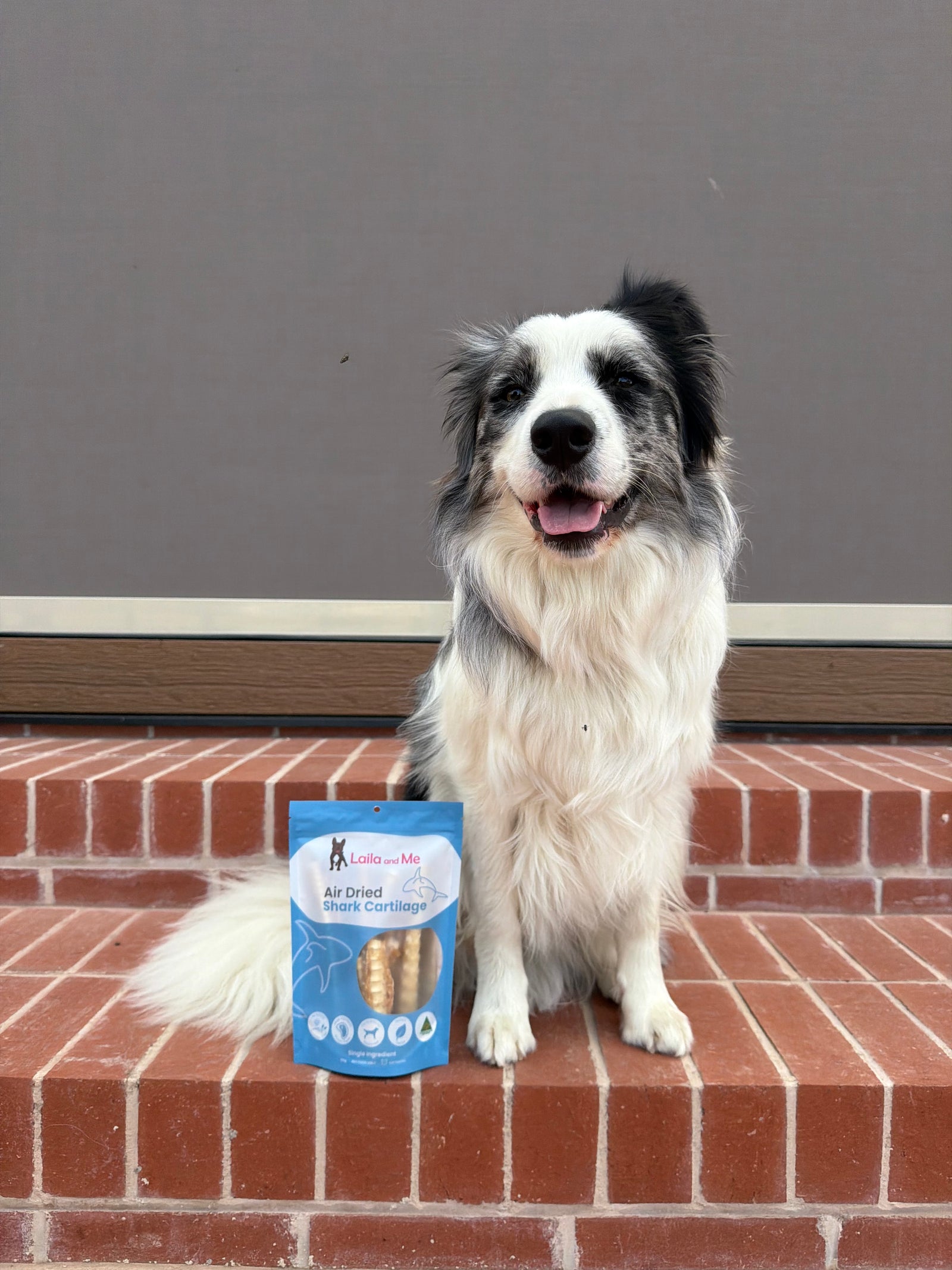 Australian Gummy Shark Cartilage