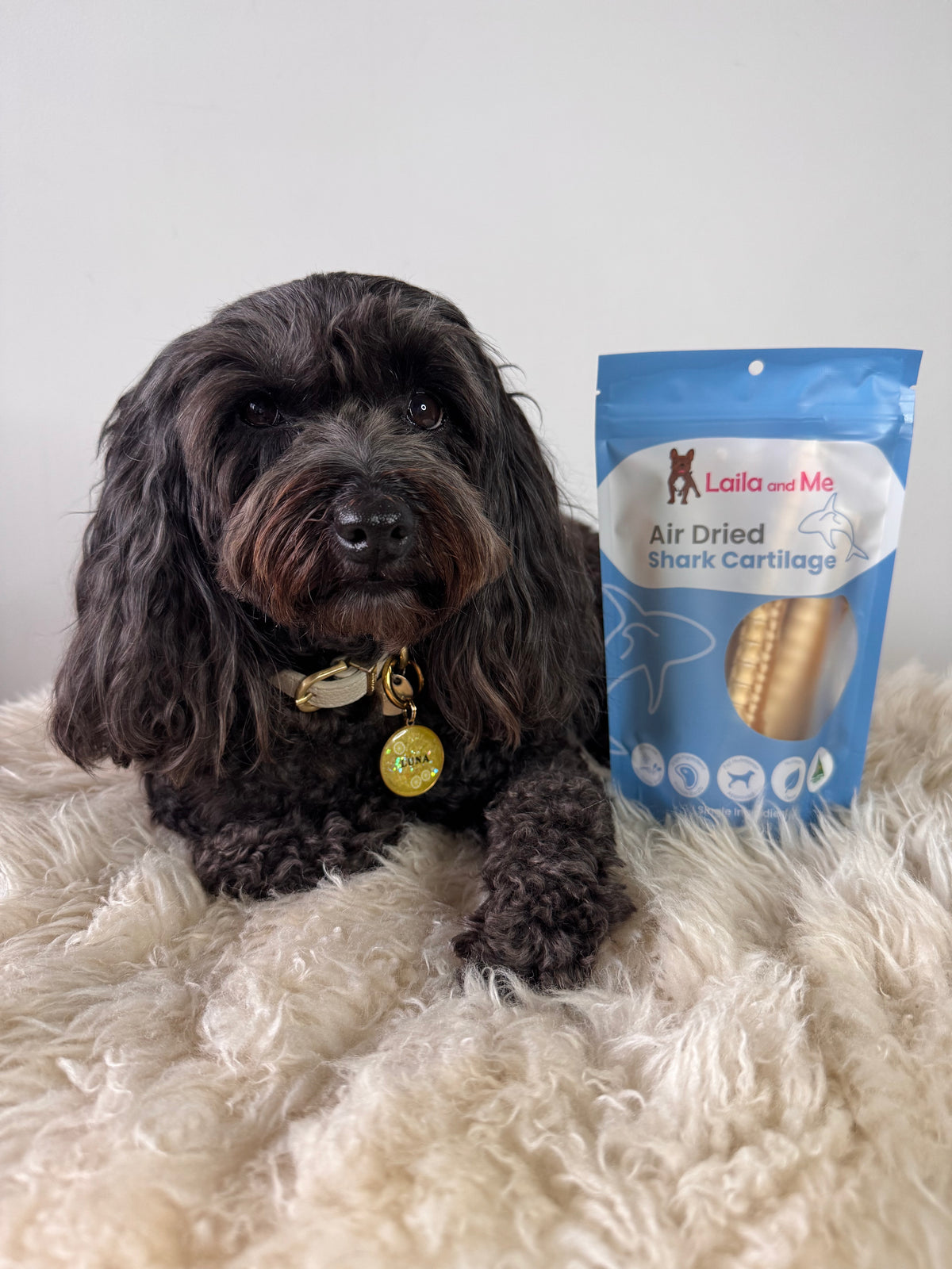 Australian Gummy Shark Cartilage